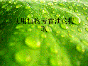 使用植物芳香油的提取.ppt