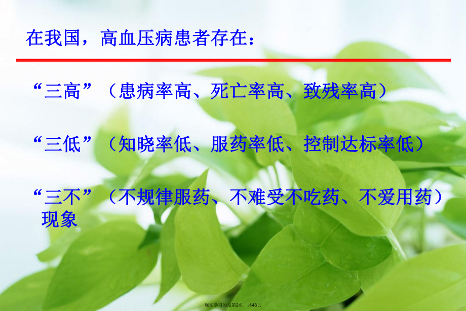 中西医治疗高血压病的优势及不足评述课件.ppt_第2页