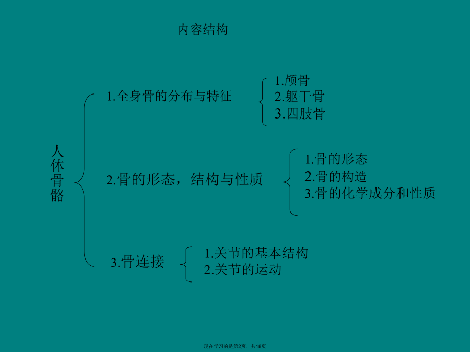 人体骨骼构成图解.ppt_第2页