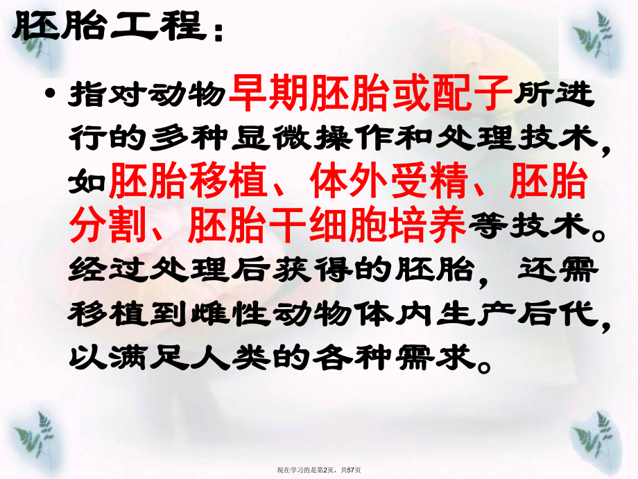 专题 体内受精和早期胚胎发育课件.ppt_第2页