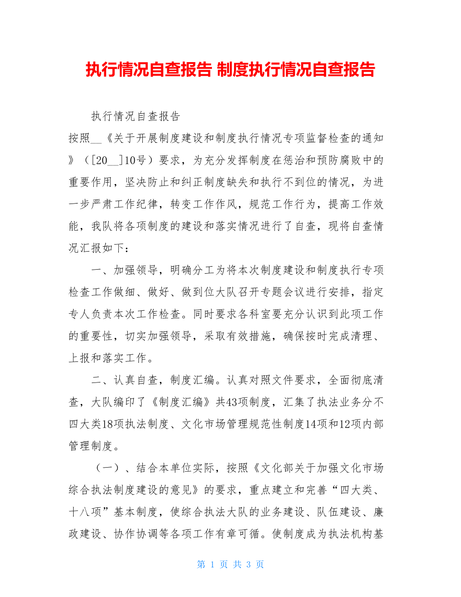 执行情况自查报告制度执行情况自查报告.doc_第1页