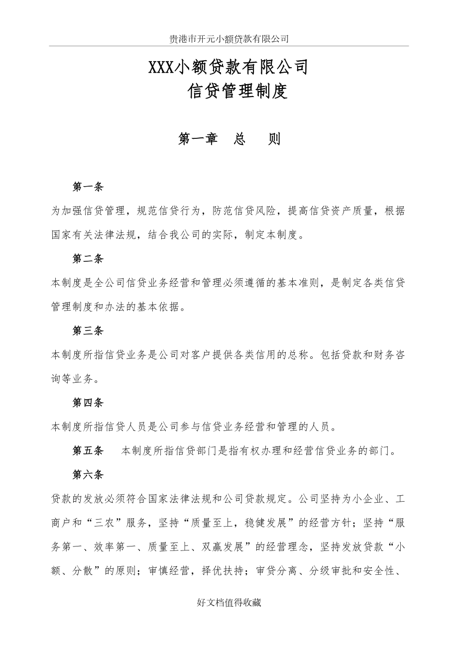 某小额贷款有限公司信贷管理制度.doc_第2页