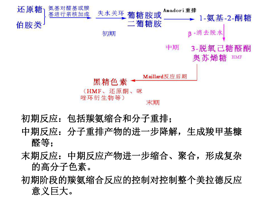 美拉德反应和焦糖化反应ppt课件.ppt_第2页