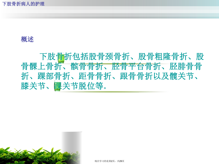下肢骨折病人的护理课件.ppt_第2页