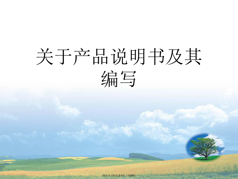 产品说明书及其编写.ppt_第1页