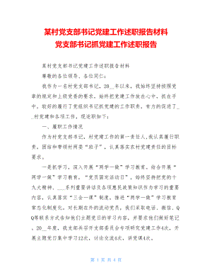 某村党支部书记党建工作述职报告材料党支部书记抓党建工作述职报告.doc