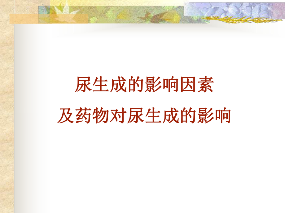 影响尿生成的因素实验ppt课件.ppt_第1页