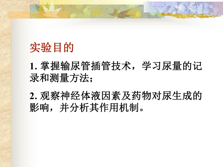 影响尿生成的因素实验ppt课件.ppt_第2页