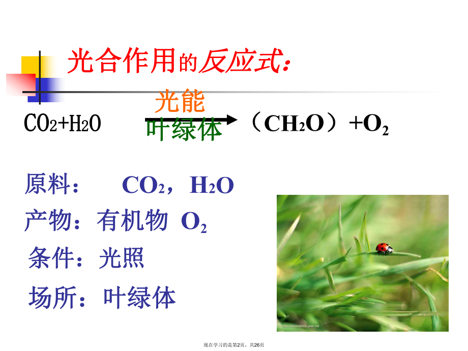 光合作用的发现史.ppt_第2页