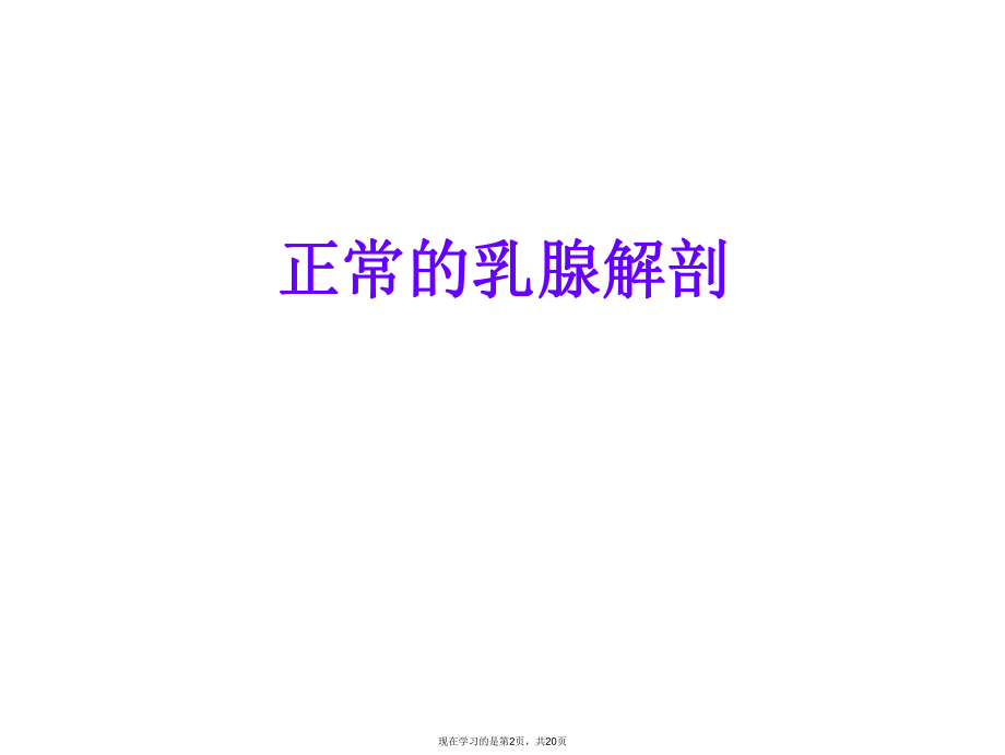 乳房疾病淋巴引流课件.ppt_第2页