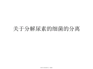 分解尿素的细菌的分离.ppt