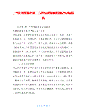 --镇贫困退出第三方评估反馈问题整改总结报告.doc