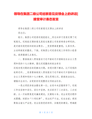 领导在集团二级公司巡察意见反馈会上的讲话-接受审计表态发言.doc