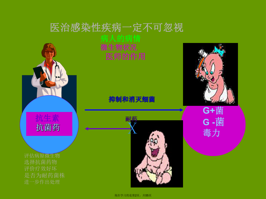 临床抗菌药物的合理应用课件.ppt_第2页