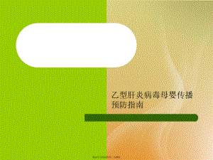 乙型肝炎病毒母婴传播预防指南.ppt