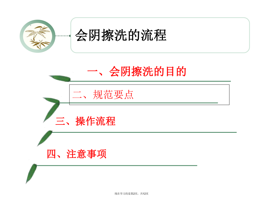 会阴擦洗的护理.ppt_第2页