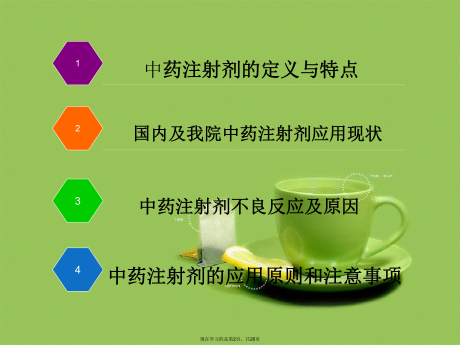 中药注射剂的合理应用介绍.ppt_第2页