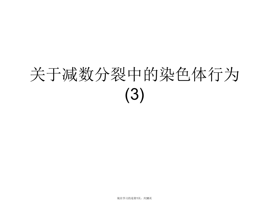 减数分裂中的染色体行为 (3).ppt_第1页