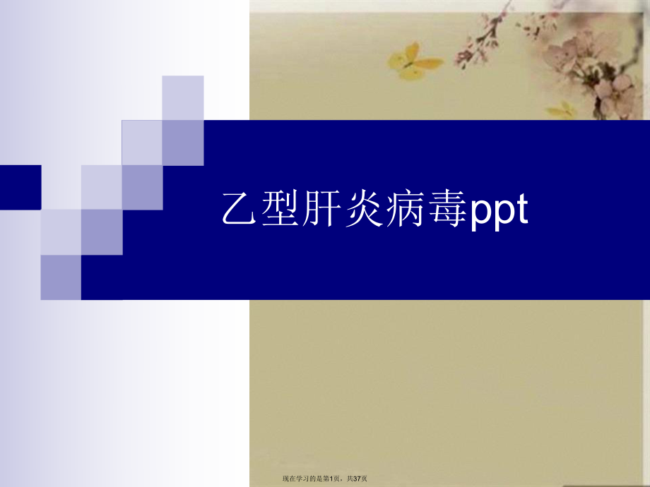 乙型肝炎病毒ppt.ppt_第1页