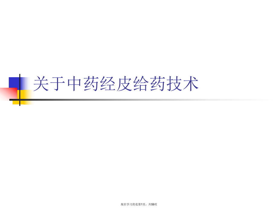 中药经皮给药技术课件.ppt_第1页