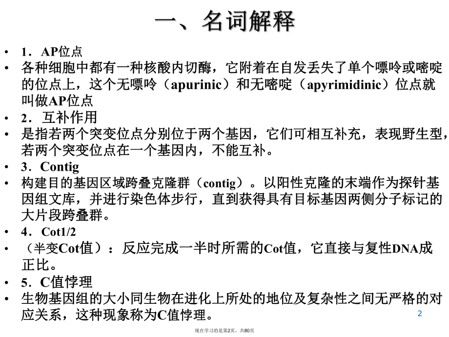 分子遗传学常见试题.ppt_第2页