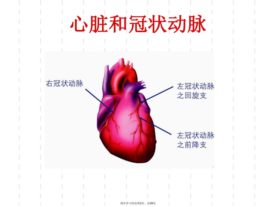 冠心病科普.ppt_第2页