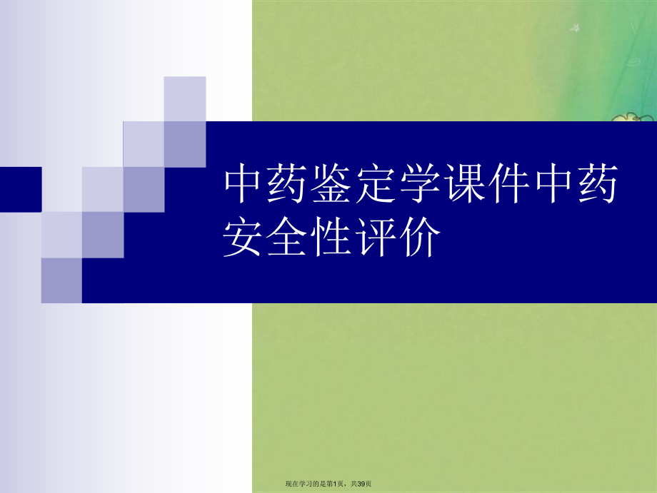 中药鉴定学中药安全性评价.ppt_第1页