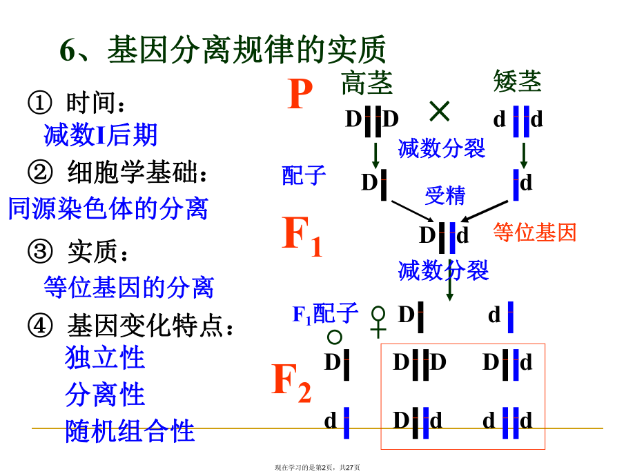 专题遗传课件.ppt_第2页