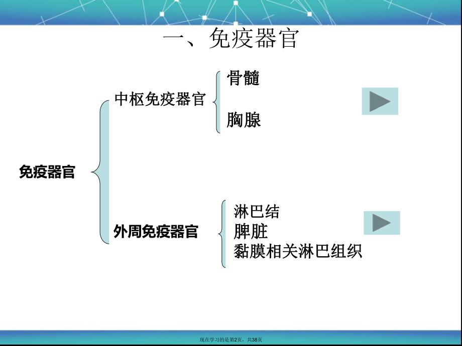 免疫系统和免疫应答.ppt_第2页