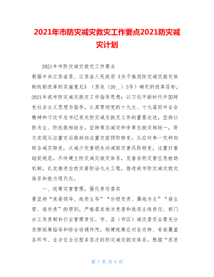 2021年市防灾减灾救灾工作要点2021防灾减灾计划.doc