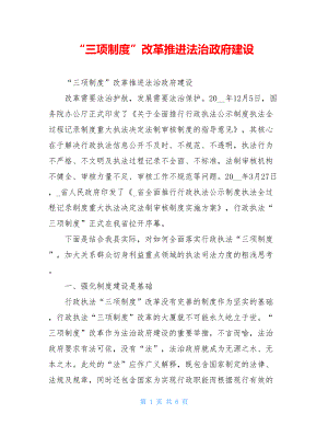 “三项制度”改革推进法治政府建设.doc