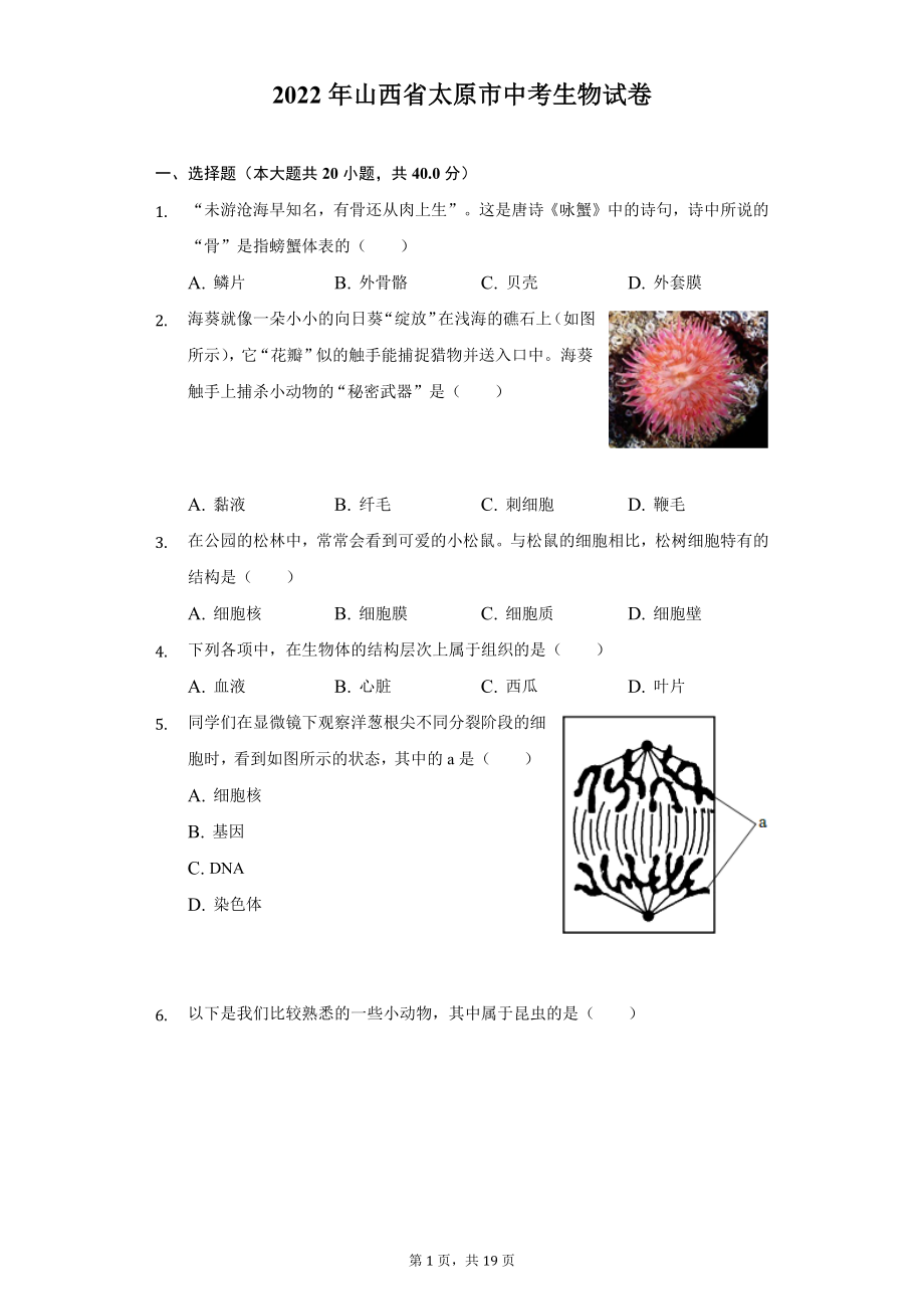 2022年山西省太原市中考生物试题及答案解析.docx_第1页