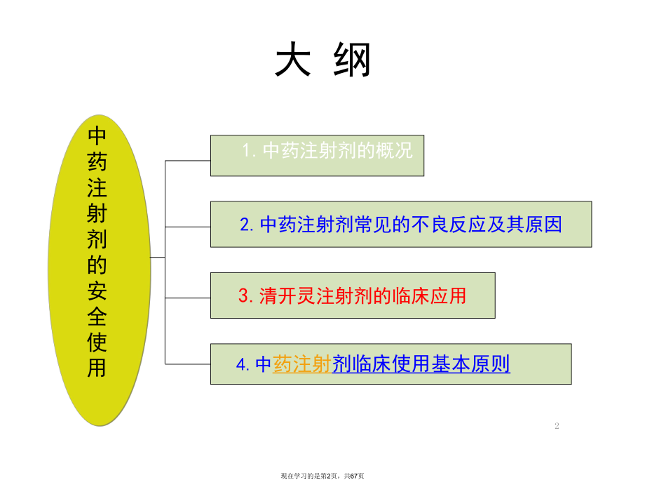 中药注射液安全使用培训课件.ppt_第2页