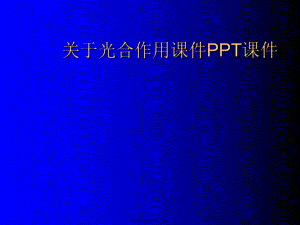 光合作用ppt.ppt