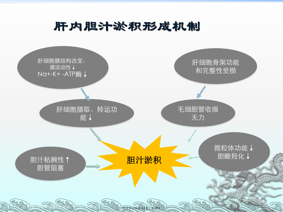 保肝药物思美泰作用和机制探讨.ppt_第2页