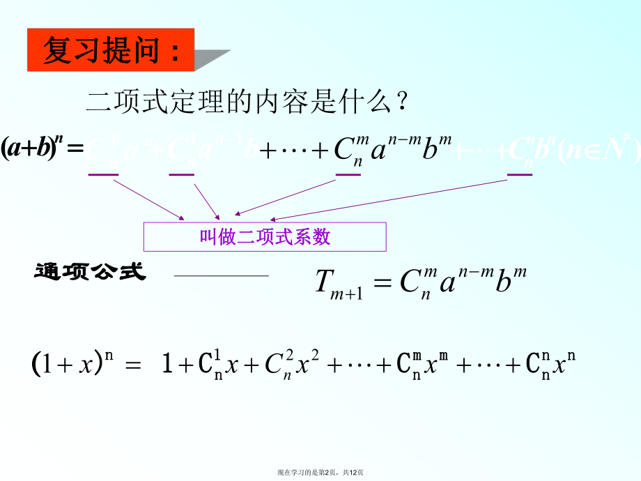 二项式定理及二项式系数的性质应用.ppt_第2页