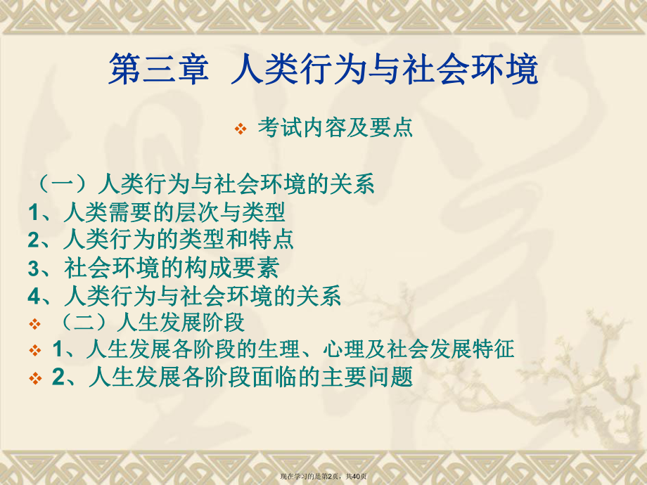 人类行为与社会环境 (3).ppt_第2页