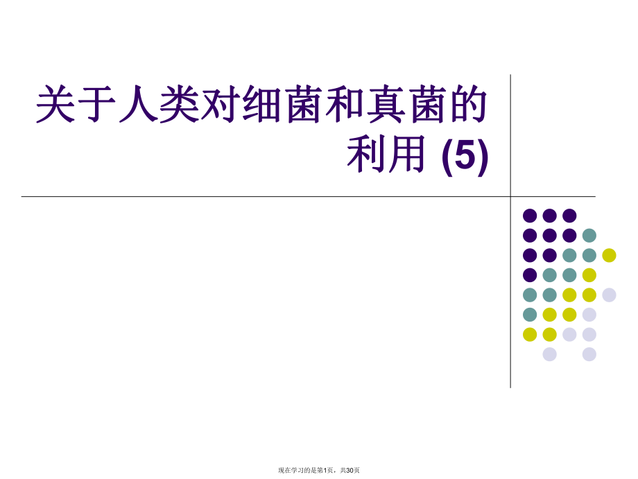 人类对细菌和真菌的利用 (5).ppt_第1页