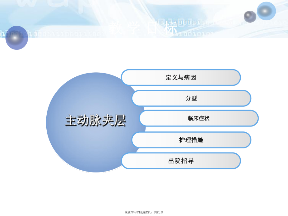 主动脉夹层的护理课件.ppt_第2页