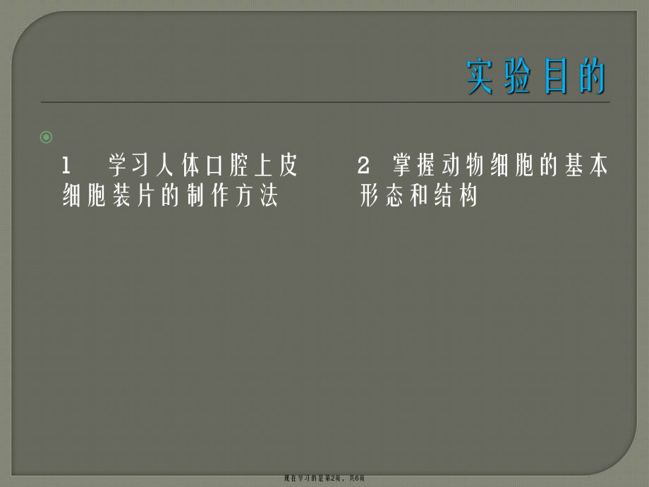 人体口腔上皮细胞的观察.ppt_第2页