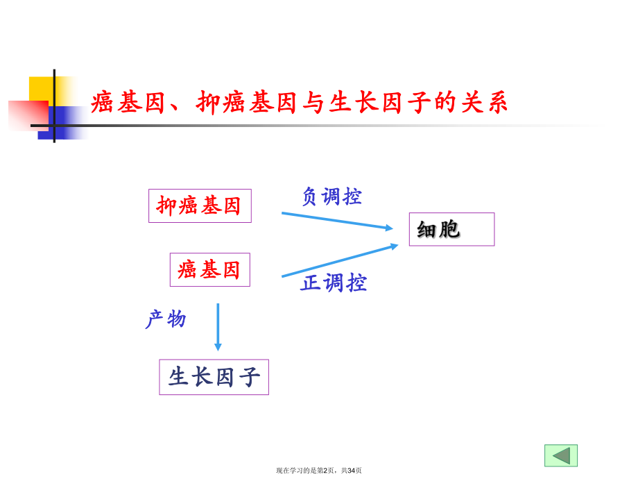 专题篇癌基因抑癌基因与生长因子课件.ppt_第2页