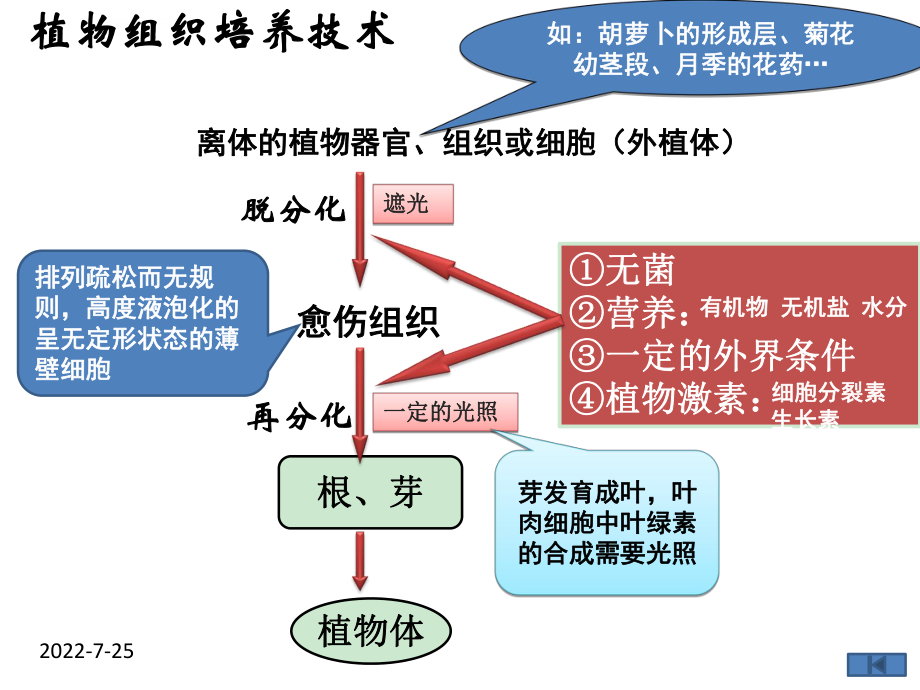 植物细胞工程的实际应用（上课用）ppt课件.ppt_第1页