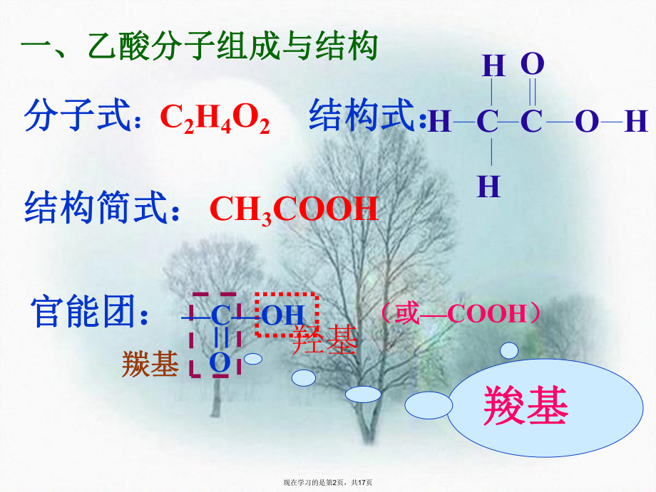 乙酸分子组成与结构课件.ppt_第2页