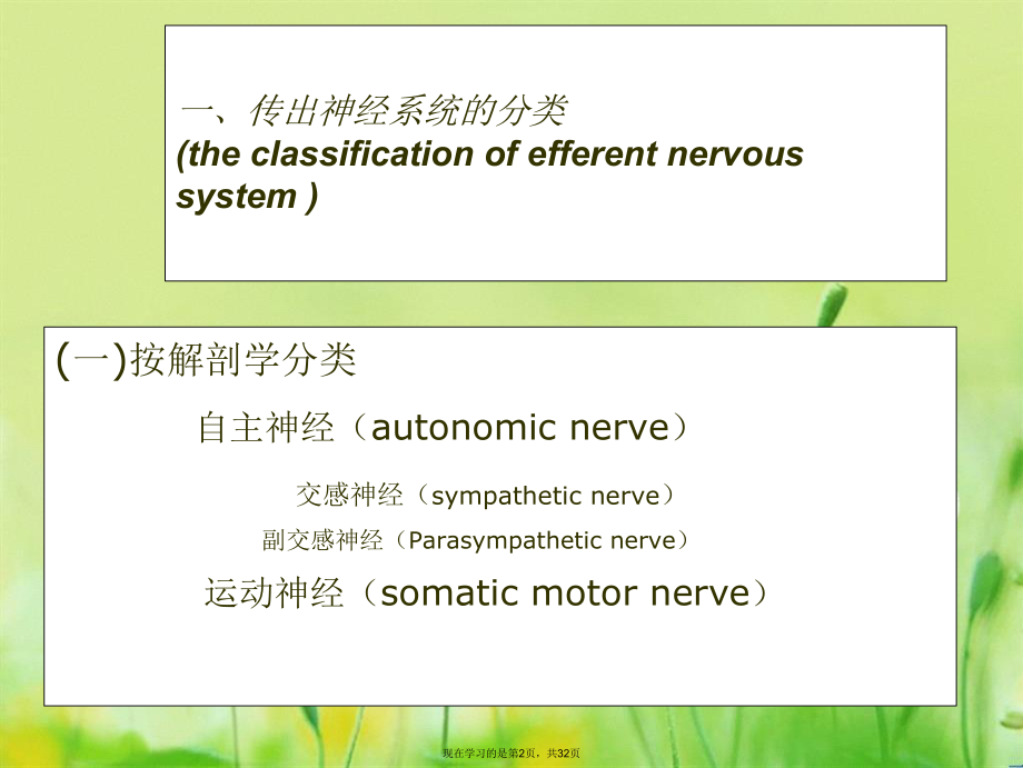 传出神经系统药理学概述.ppt_第2页