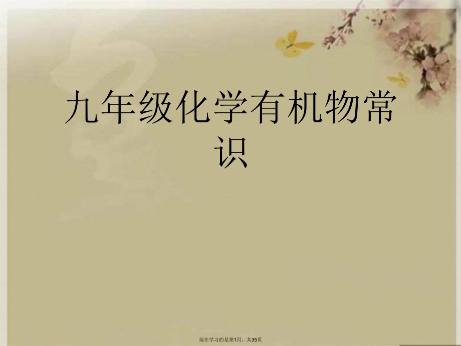 九年级化学有机物常识.ppt_第1页