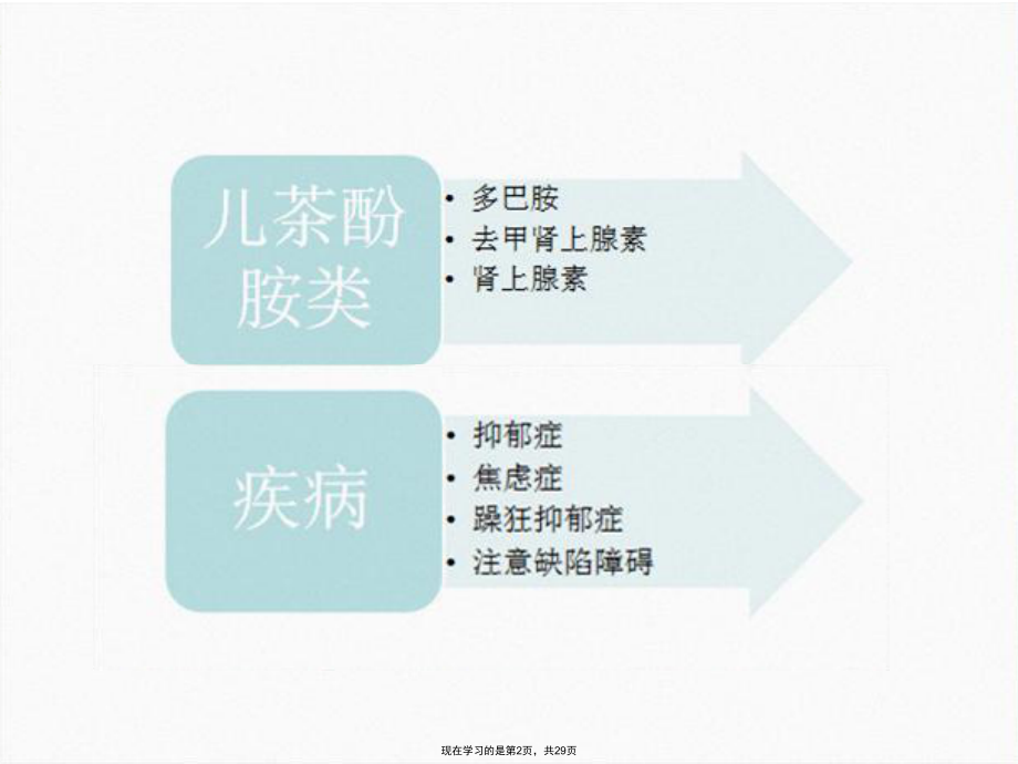 儿茶酚胺类神经递质的神经生理作用.ppt_第2页