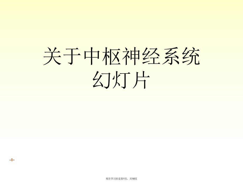 中枢神经系统幻灯片课件.ppt_第1页