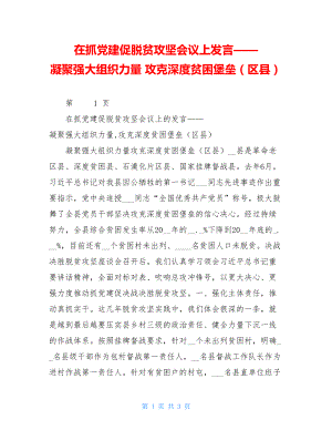 在抓党建促脱贫攻坚会议上发言——凝聚强大组织力量攻克深度贫困堡垒（区县）.doc