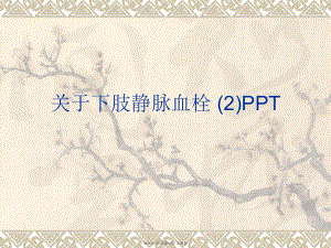 下肢静脉血栓 (2)PPT课件.ppt