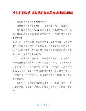 乡长任职发言镇长就职表态发言材料精选两篇.doc